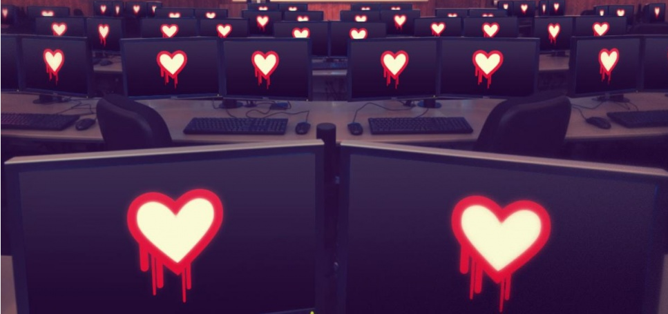 Heartbleed Bug